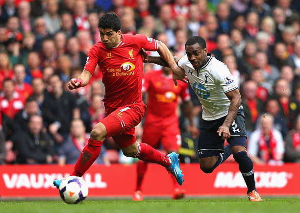 对韩国草皮 对韩国草皮