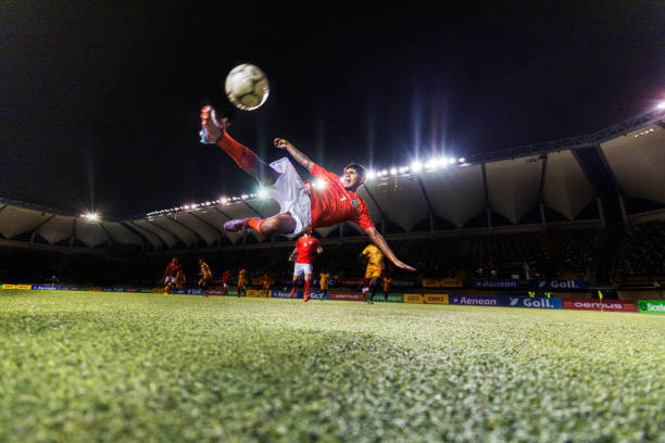 洲俱乐部的 洲俱乐部的